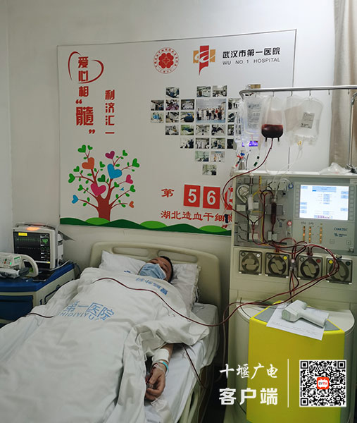 best365网页版